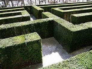 Heckenlabyrinth