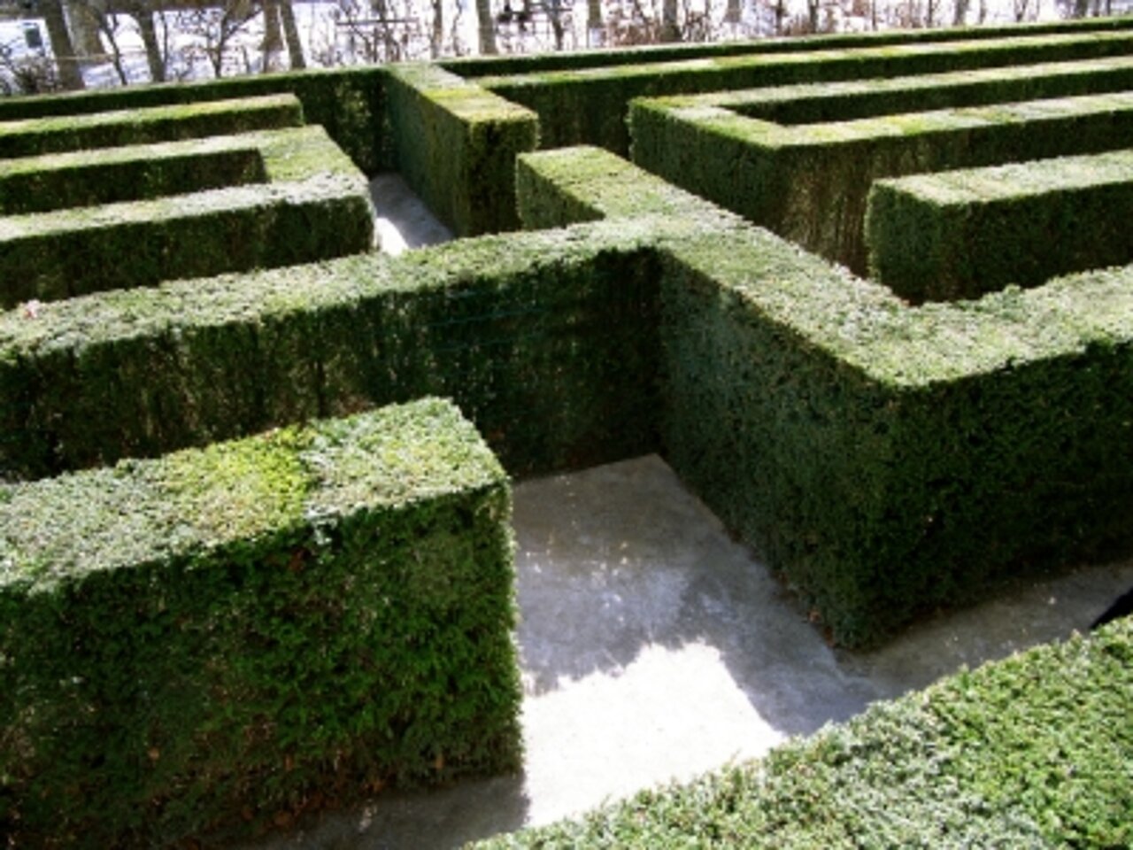 Hecken Labyrinth