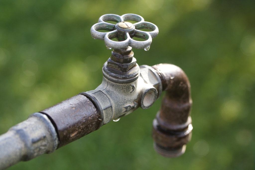 Teil einer Wasserleitung mit nach unten gebogenem Ausfluss und Drehelement in Form einer Blume